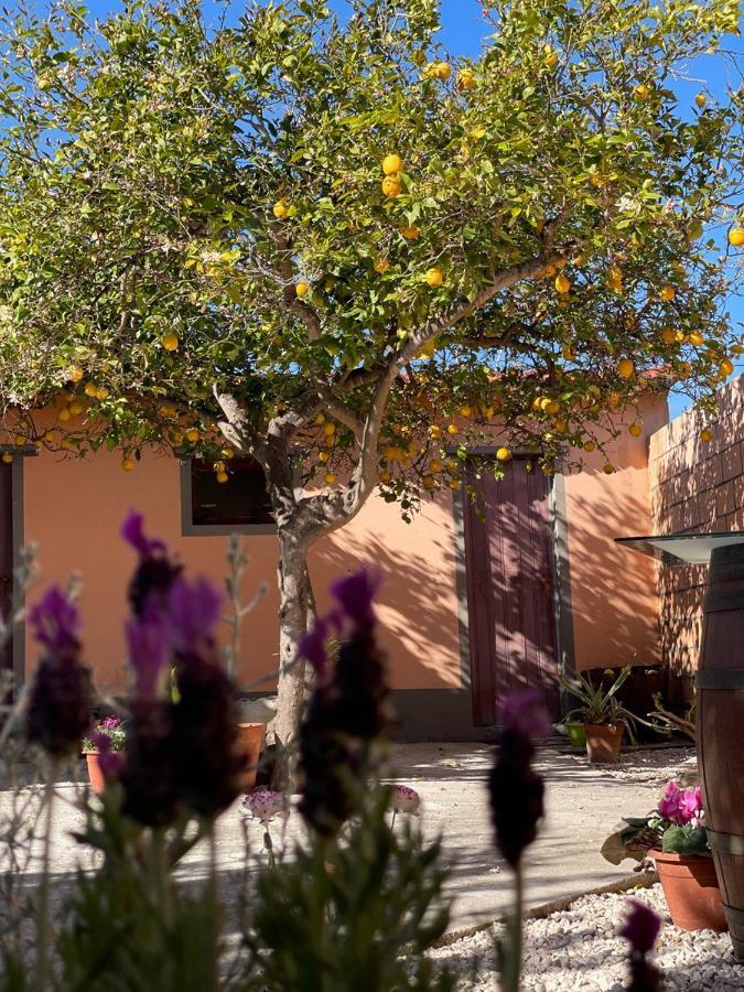 Su Fassoi Cabras Bed and Breakfast Eksteriør billede